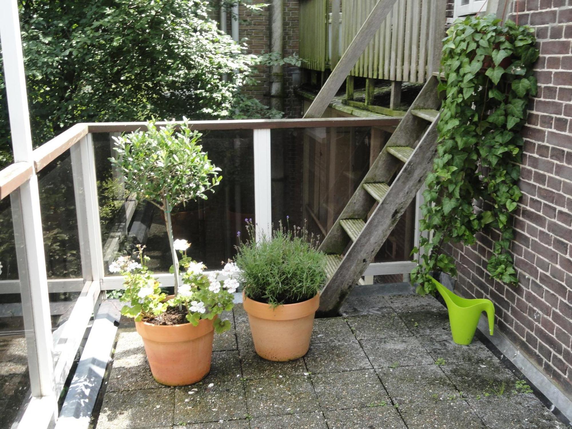 Frankendael Apartments Amsterdam Dış mekan fotoğraf